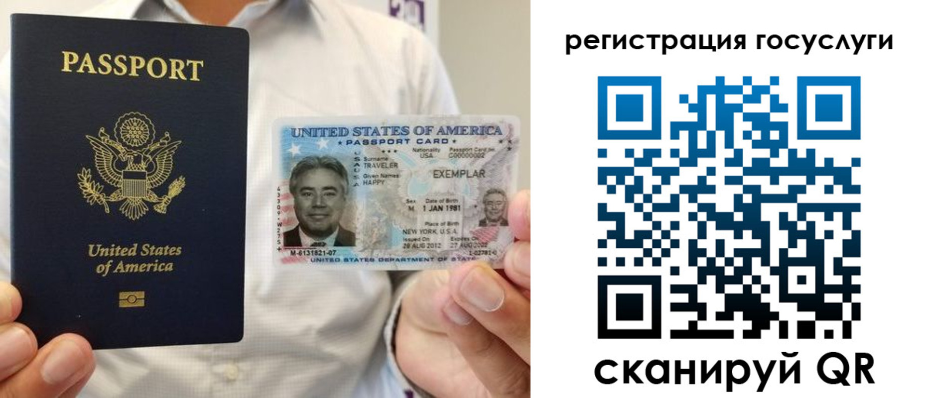 прописка законно в Светлогорске