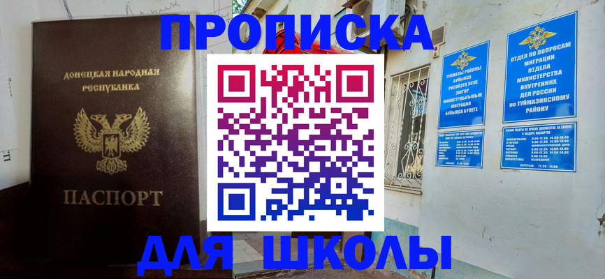 где прописаться в Светлогорске